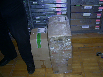 Cryptomphalus aspersa (Helicidae)