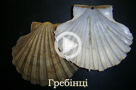 Гребінці
